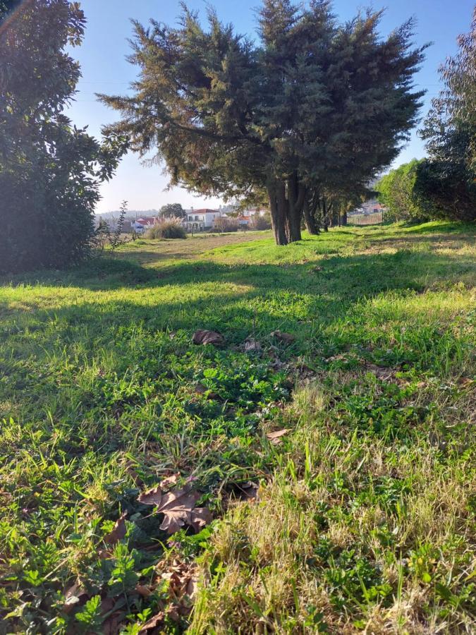 Quinta Cunte - Casa Sobreiro Villa São Luís Eksteriør bilde