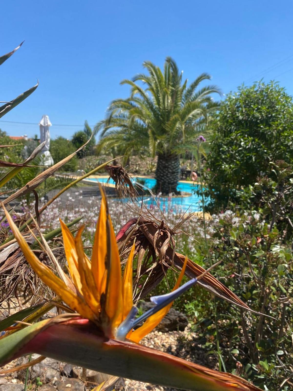 Quinta Cunte - Casa Sobreiro Villa São Luís Eksteriør bilde