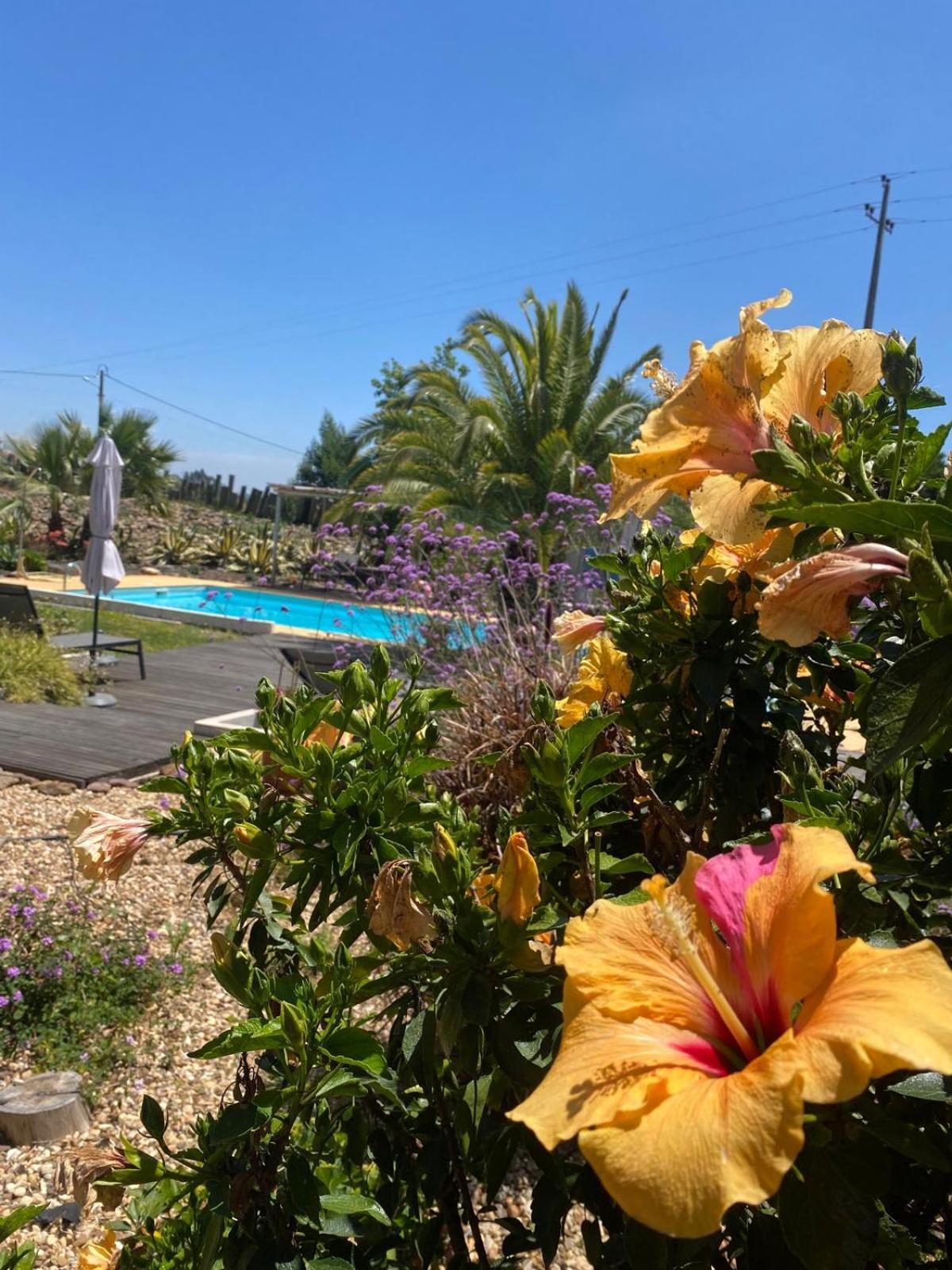 Quinta Cunte - Casa Sobreiro Villa São Luís Eksteriør bilde