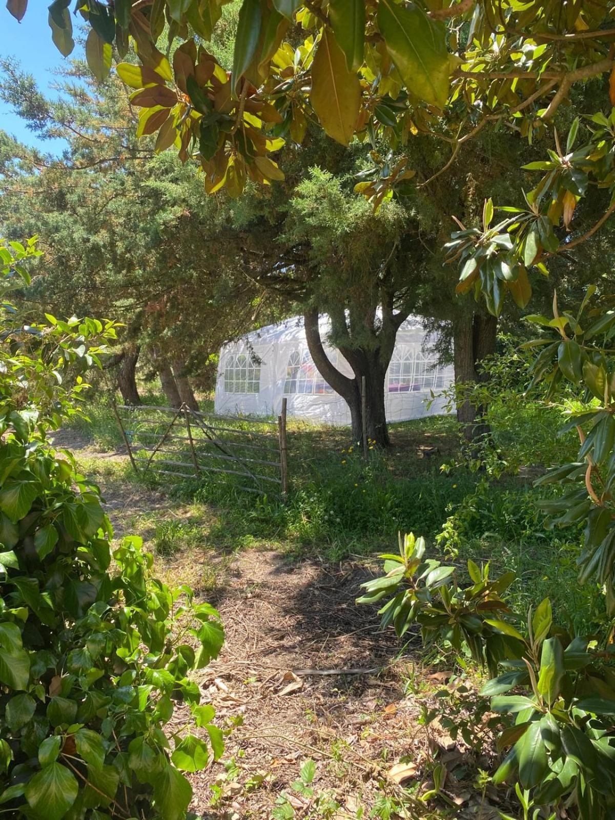 Quinta Cunte - Casa Sobreiro Villa São Luís Eksteriør bilde